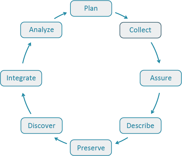 Data Life Cycle