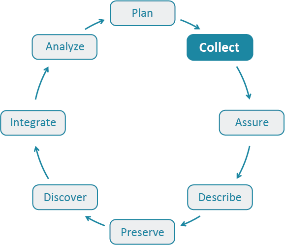 Data Life Cycle