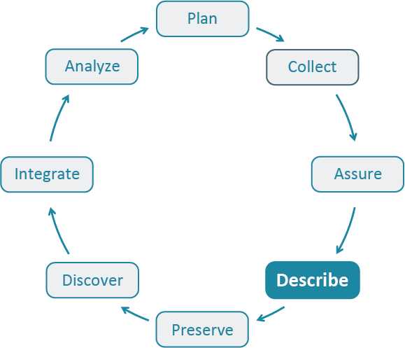 Data Life Cycle