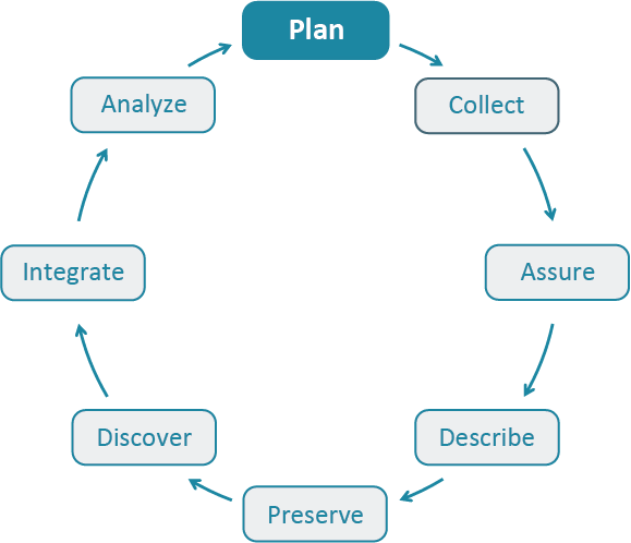 Data Life Cycle