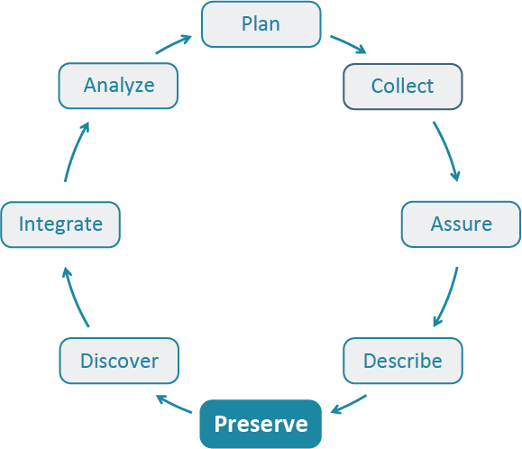 Data Life Cycle